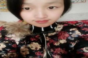 狐妖小红娘总集篇免费观看